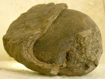 ERIK ZWAGA GEURENGOEROE AMBERGRIS