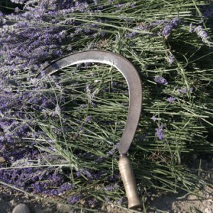 ERIK ZWAGA GEURENGOEROE LAVENDEL