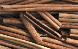 ERIK ZWAGA GEURENGOEROE POTION KANEEL