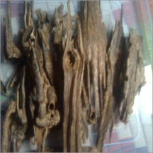 ERIK ZWAGA GEURENGOEROE OUD