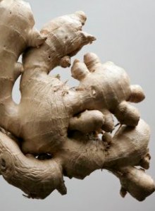 Wetenswaar Gember (FOTO GPD/HARMEN DE JONG).