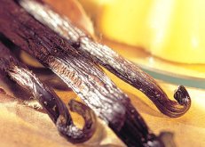 ERIK ZWAGA GEURENGOEROE VANILLE 3