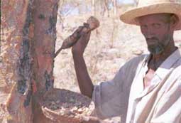 ERIK ZWAGA GEURENGOEROE WIEROOK