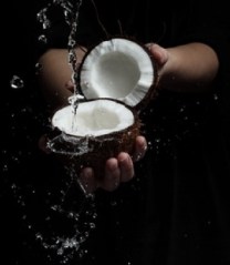 ERIK ZWAGA GEURENGOEROE KOKOSNOOTSAP