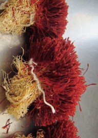 ERIK ZWAGA GEURENGOEROE SAFFRAAN