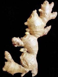 ERIK ZWAGA GEURENGOEROE GINGEMBRE