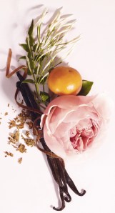 ERIK ZWAGA GEURENGOEROE MISS DIOR LE PARFUM DIOR INGRDIENTS