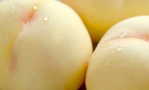 ERIK ZWAGA GEURENGOEROE PERZIK