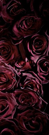 ERIK ZWAGA GEURENGOEROE ROOS ILLU