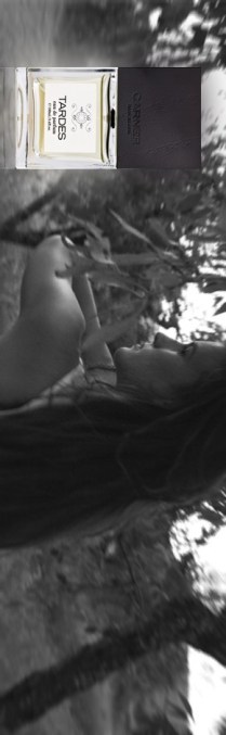 ERIK ZWAGA GEURENGOEROE TARDES CARNER