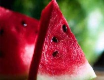 ERIK ZWAGA GEURENGOEROE WATERMELOEN