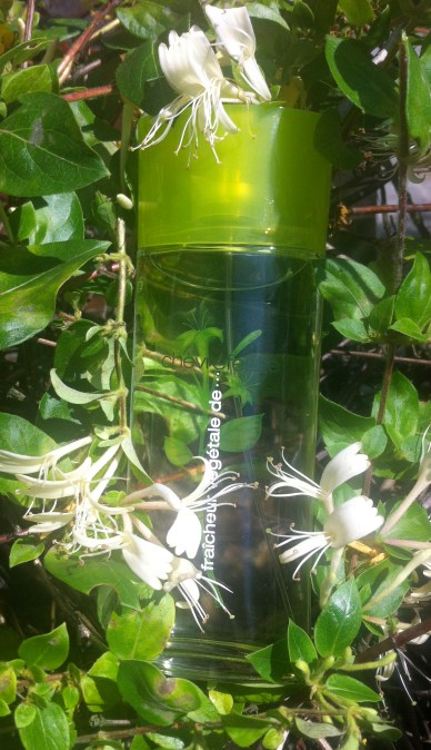 ERIK ZWAGA GEURENGOEROE CHEVREFEUILLE YVES ROCHER MOOD