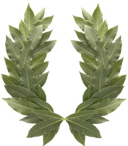 ERIK ZWAGA GEURENGOEROE LAURIER