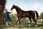 ERIK ZWAGA GEURENGOEROE DARLEY ARABIAN
