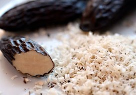 ERIK ZWAGA GEURENGOEROE TONKABOON