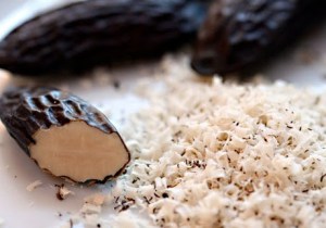 ERIK ZWAGA GEURENGOEROE TONKABOON