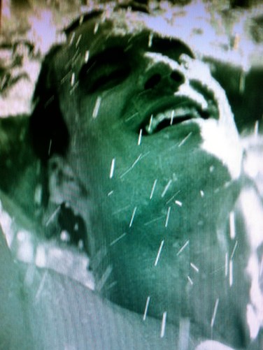 ERIK ZWAGA GEURENGOEROE FRESH-UP ROYAL SANDERS MODEL