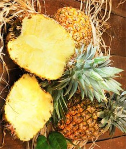 ERIK ZWAGA GEURENGOEROE ANANAS