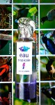 EAU TROPICALE SISLEY MOOD 2