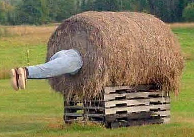 ERIK ZWAGA GEURENGOEROE HOOI