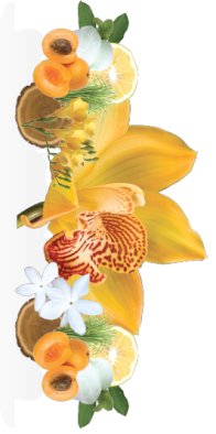 ERIK ZWAGA GEURENGOEROE RISE BEYONCE INGREDIENTS