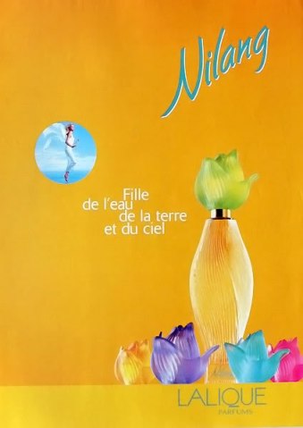 NILANG DIFFERENT CAPS