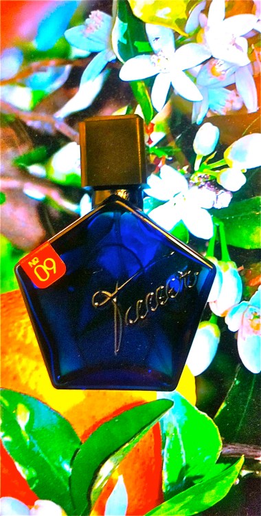 ORANGE STAR ANDY TAUER