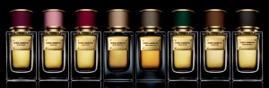 VELVET COLLECTION DOLCE & GABBANA