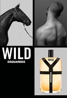 WILD DSQUARED2 1
