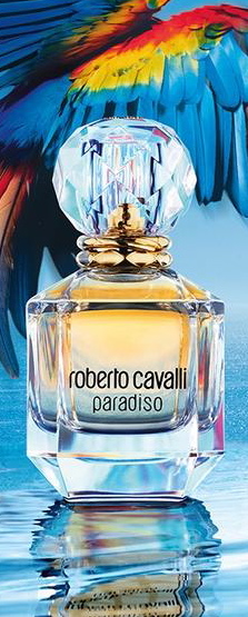 PARADISO ROBERTO CAVALLI BOTTLE