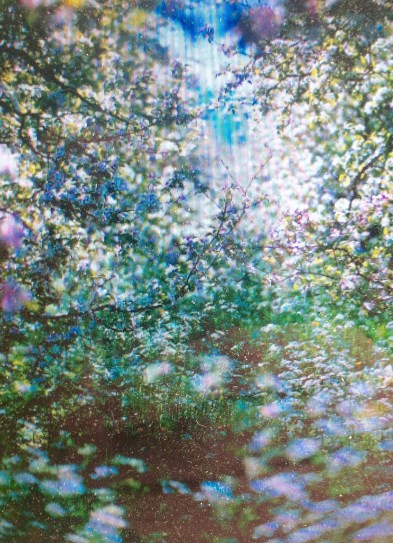 FLORABELLIO DYPTIQUE MOOD 2