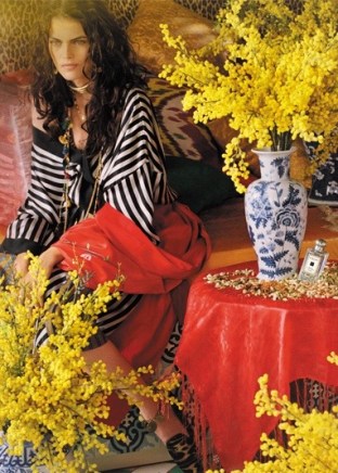 MIMOSA & CARDAMOM CAMPAIGN