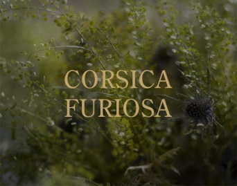 CORSICA FURIOSA PARFUM D’EMPIRE MOOD1