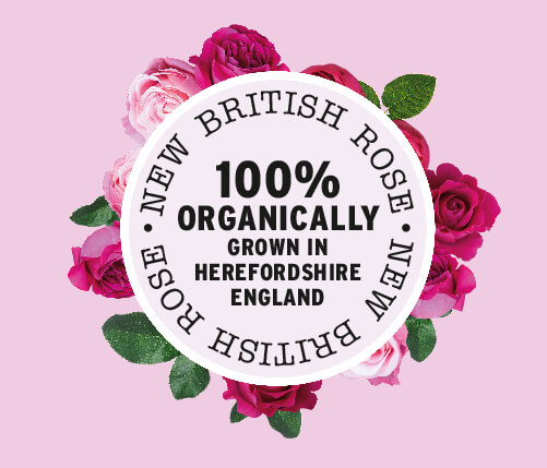 BRITISH ROSE LOGO