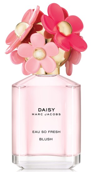 DAISY OS SO FRESH BLUSH