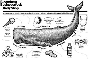 SPERMWHALE