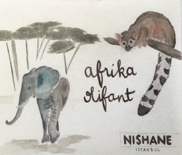 AFRIKA OLIFANT NISHANE 1