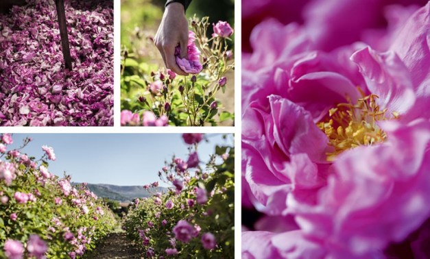 LA COLLE NOIRE DIOR MOOD