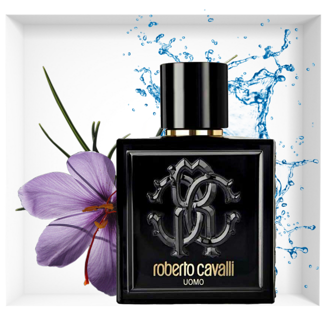 robert-cavalli-uomo-bottle