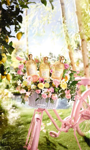 BERGAMOTE CALABRIA VISUEL PRINCIPAL