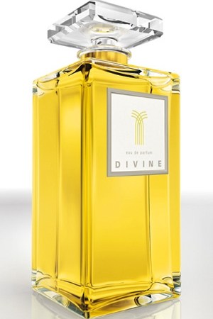 DIVINE EDP