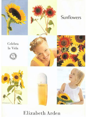 SUNFLOWERS ARDEN