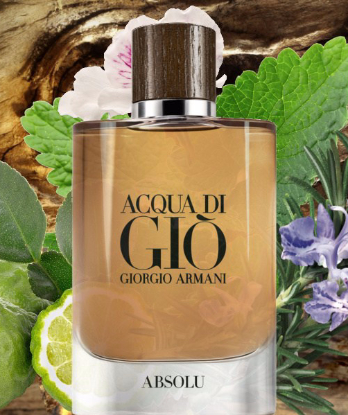 ACQUA DI GIÒ ABSOLU ARMANI 2