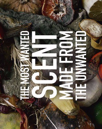 LES FLEURS DU DÉCHET 1