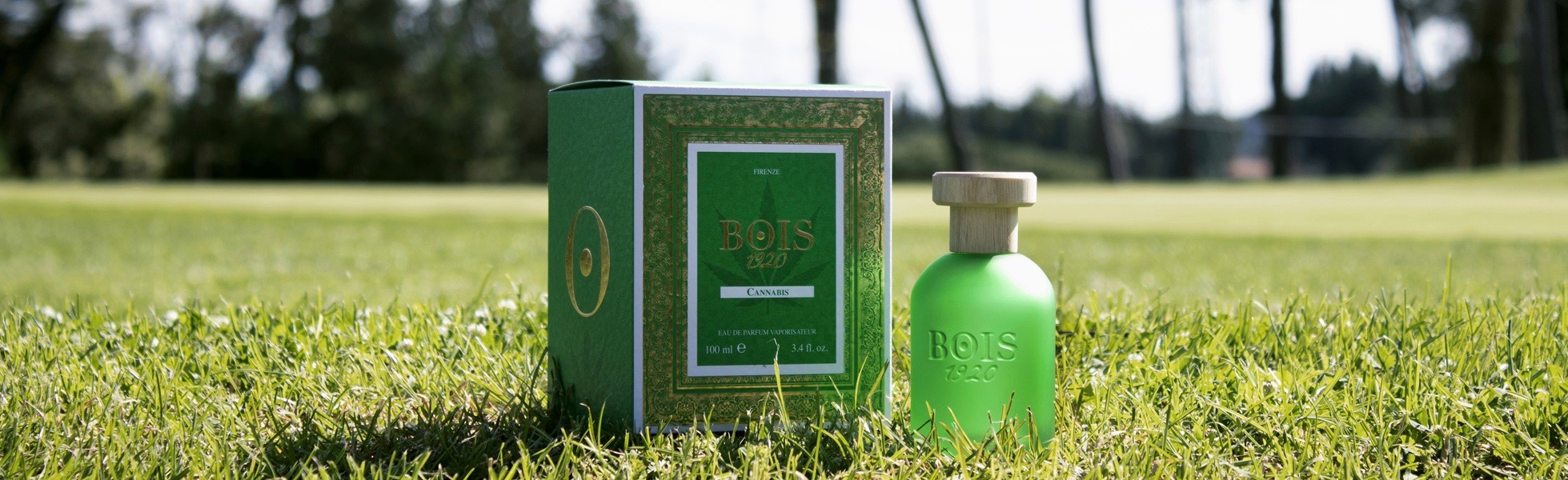 CANNABIS BOIS 1920