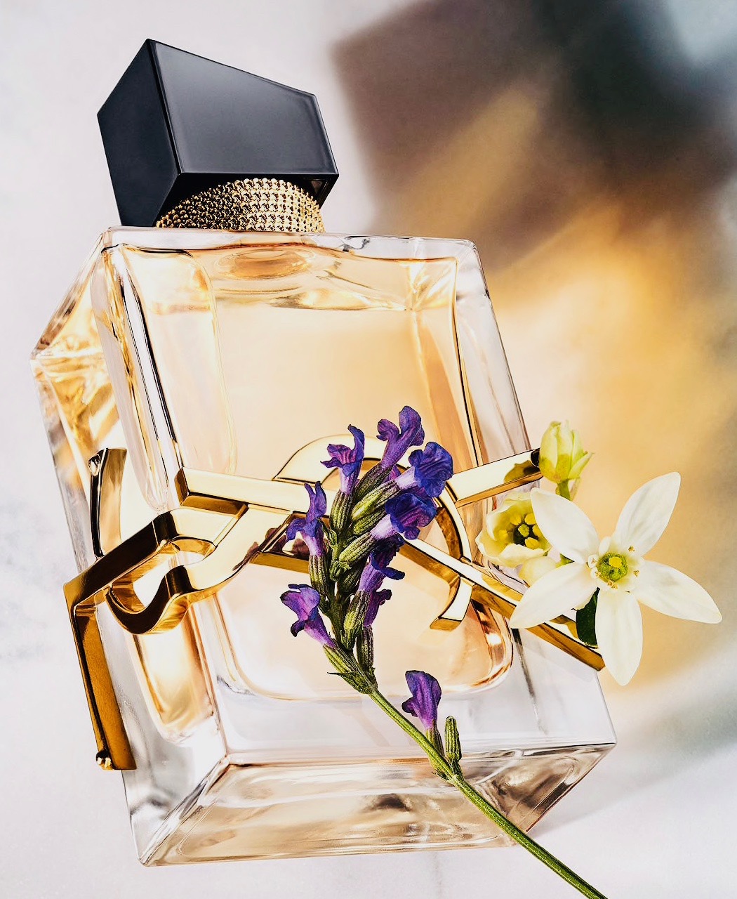 LIBRE YSL 1