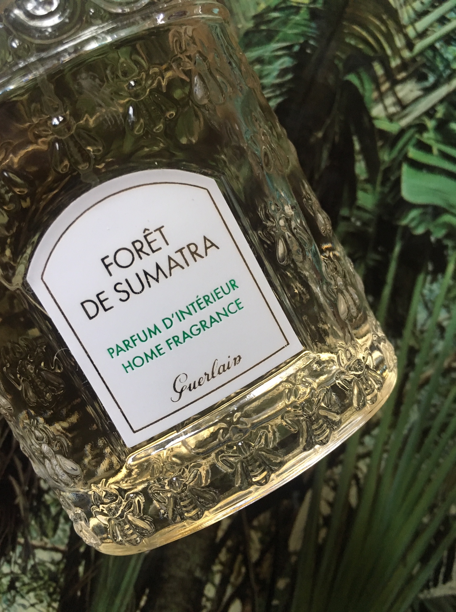 FORÊT DU SUMATRA 2